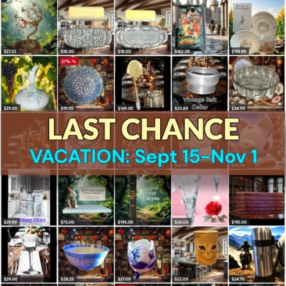 Vacation Alert.  LAST CHANCE to SHOP - Picture 1 of 1